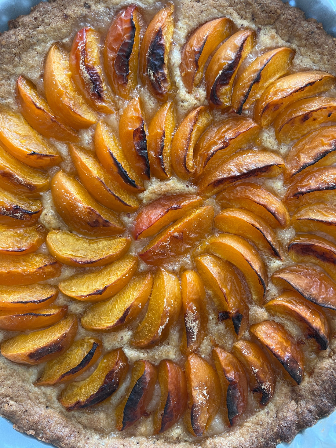 maple and apricot crostata
